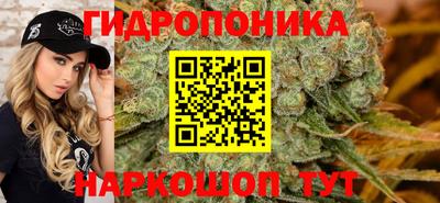 стафф Лесосибирск